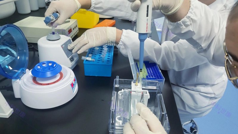 生物技术外包