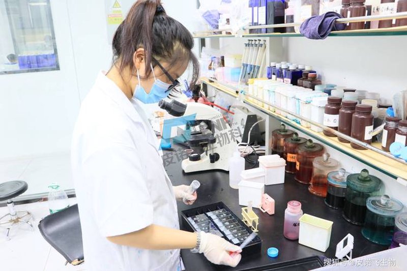 生物技术研发：引领未来的金钥匙